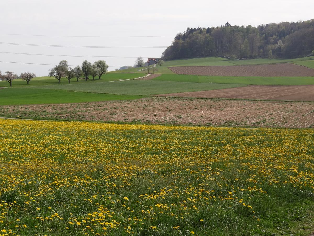 Bnb Bullenberg Villmergen Exterior photo